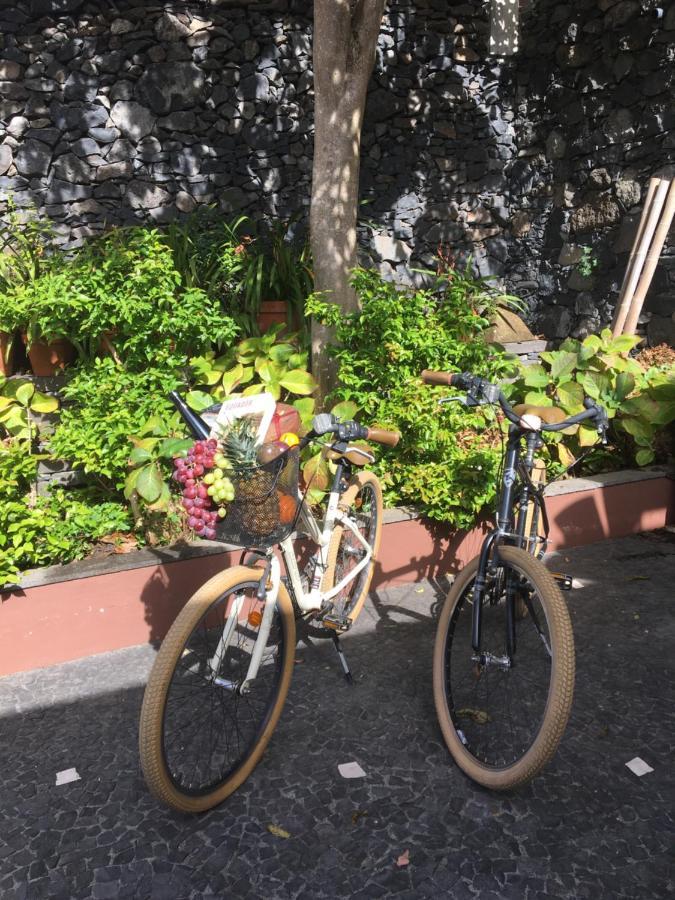 Quinta Pacos Do Lago Campanário エクステリア 写真